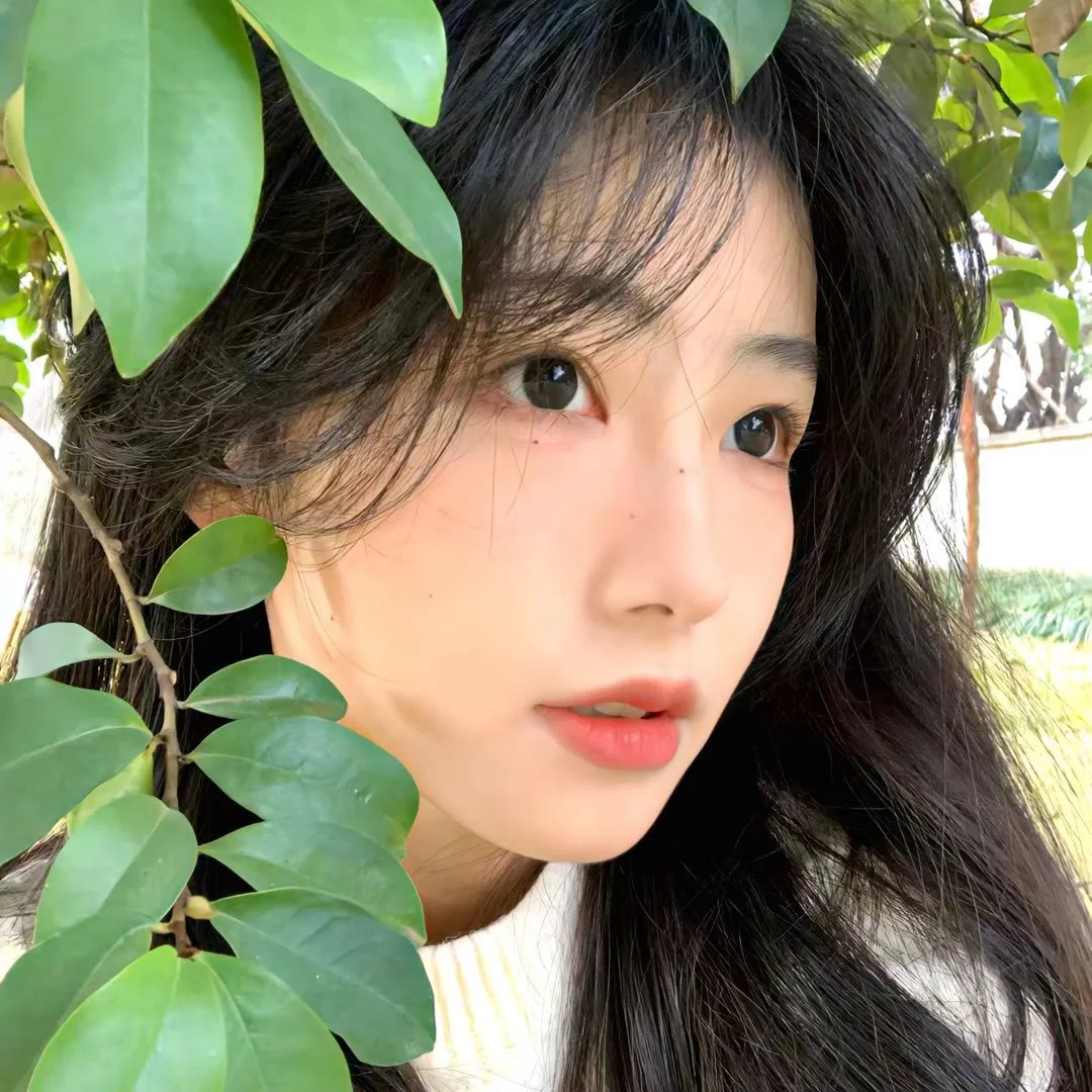 欢乐乡村