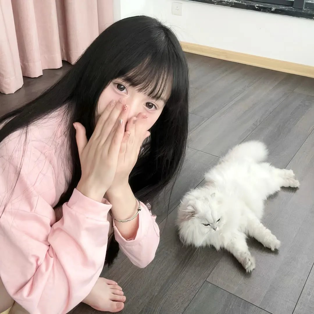 小扒手道奇